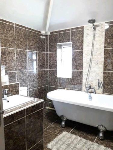 Hostal Guest House & Lodgings
