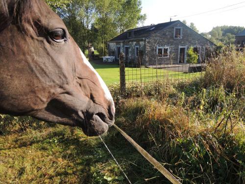 Une Parenth�se En Ardenne