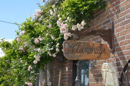 Hostal Guesthouse Kolibriehuys