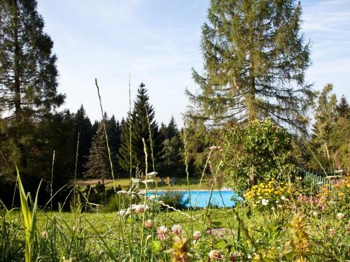 Hostal Gasthof Waldschenke