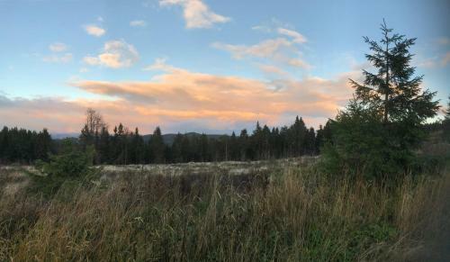 Hostal Gasthof Waldschenke
