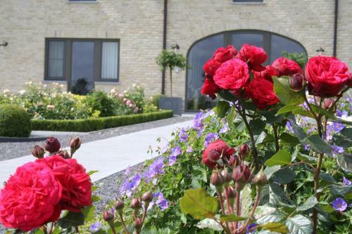 B&B La Vie En Roses