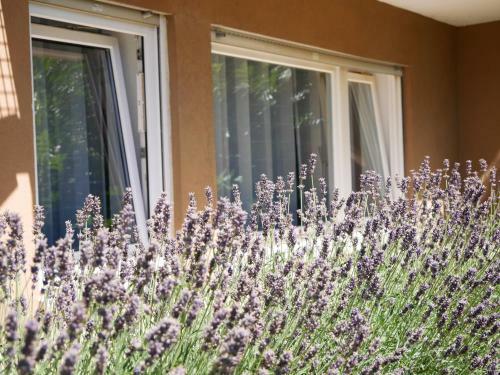 Apartamento Ferienwohnung Mit Garten