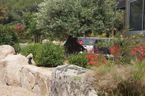 Hostal Room In Bb - Santa Giulia - Charming Bed And Breakfast With Breakfast Included 5
