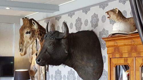 Hotel Chalet Sur Lesse