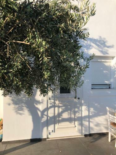 Apartamento Dapap� Studios