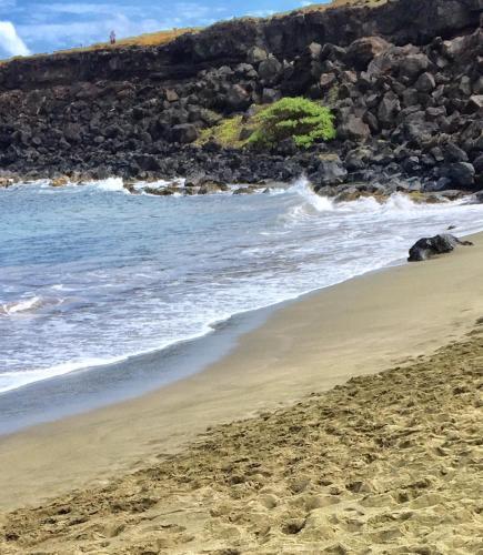 Apartamento Da Kona West 305