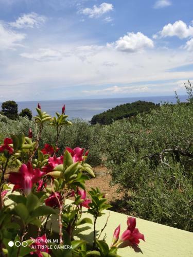 Elia House 2 Astoning View Among The Olive Trees