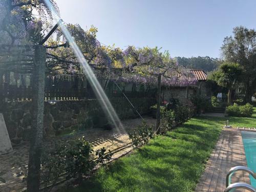 Agroturismo The Olive Tree Country Home