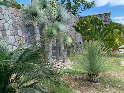 Villa A Dream Ischia Resort