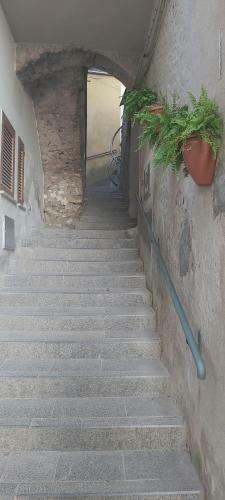 Casa Del Gelso
