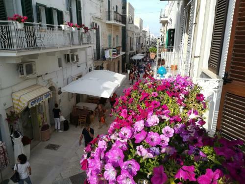 Apartamento Pinhouse - Locazione Turistica