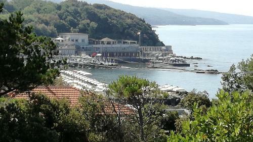 Bellavista Beachfront Apartments