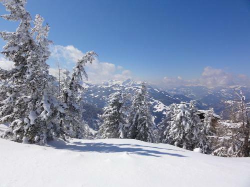 Agroturismo N�glhof