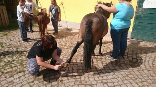 Hostal Pension & Reitstall Inghofer