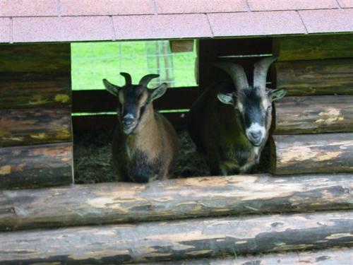 Agroturismo Russbachbauer