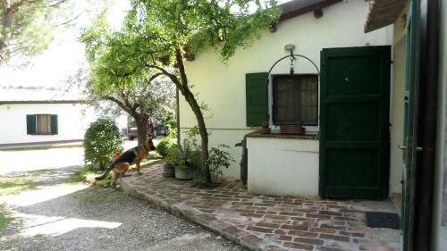 Agroturismo Appartamenti In Villa Shanti