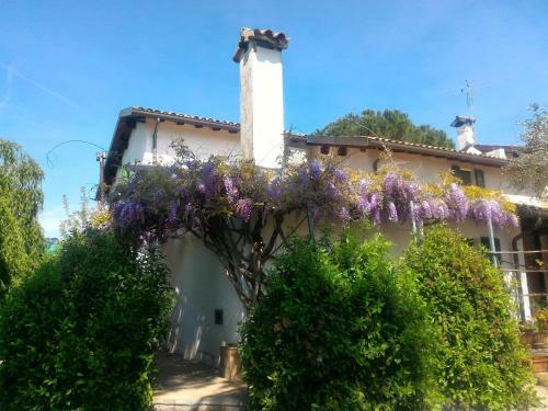 Agroturismo Appartamenti In Villa Shanti