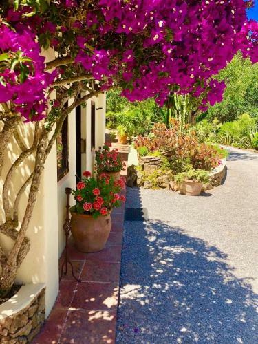 Hotel Agroturismo Can Talaias San Carlos