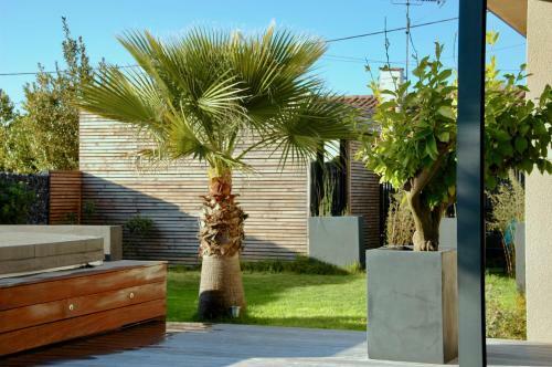 Bed & Breakfast Les Cocons Du Bassin - Cocon "spa&design"