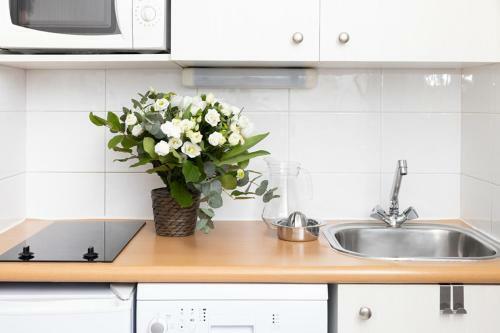 Aparthotel Residence Ibaia