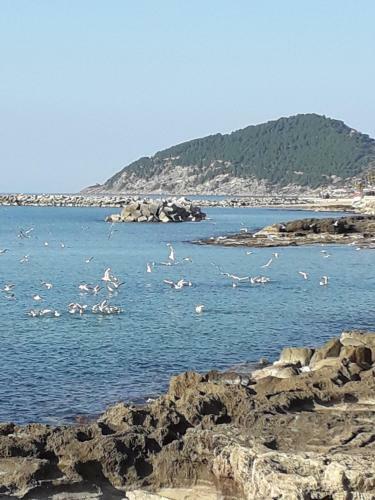 Apartamento Casa Vacanze Francesca E Rooms