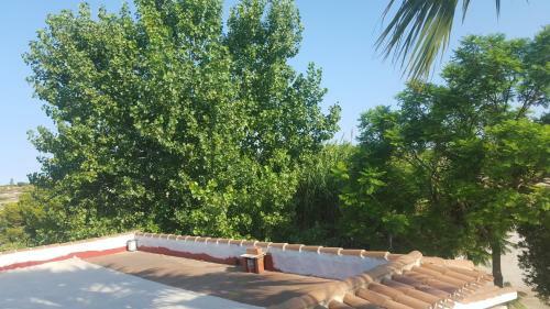 Apartamento Estudio En Teulada
