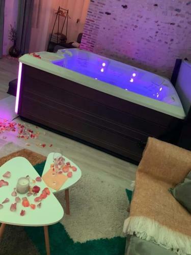 Eaudyss�e Maison Avec Spa Priv�e - Loiret