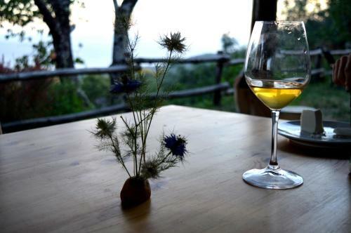Bed & Breakfast Masseria Cata Catascia