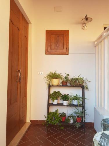 Apartamento In Domu Mia