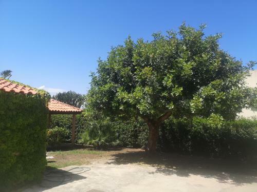 Villa Aralia - San Lorenzo, Marzamemi Noto