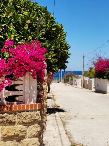 Villa Aralia - San Lorenzo, Marzamemi Noto