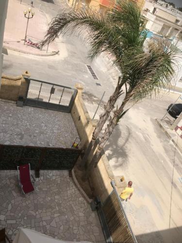App. Piero 1� Piano Torre Lapillo