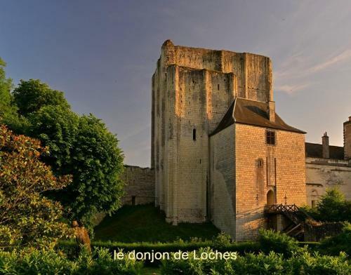 Gite La Roseli�re Touraine