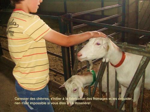 Gite La Roseli�re Touraine