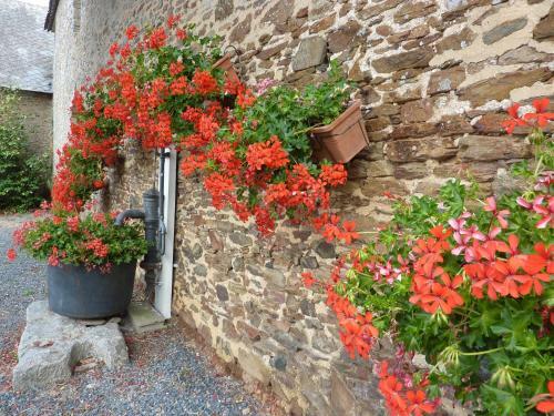 B&B Chambres D'h�tes Ferme Mahyas