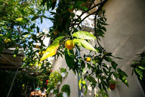 Hostal Guest House Lavr