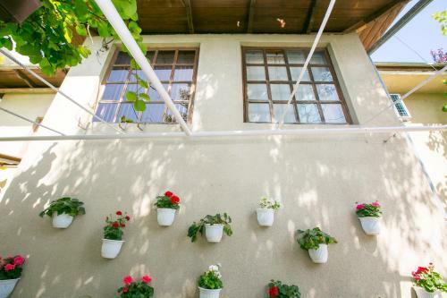 Hostal Guest House Lavr