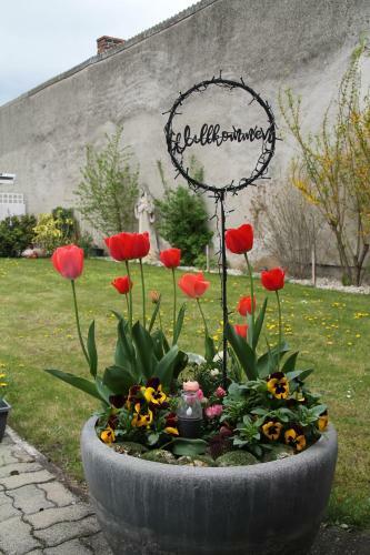 Christoph Kroiss - Weingut & G�stezimmer
