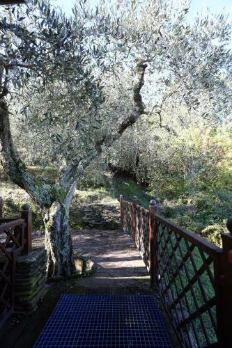 Agroturismo Molino Del Rotone