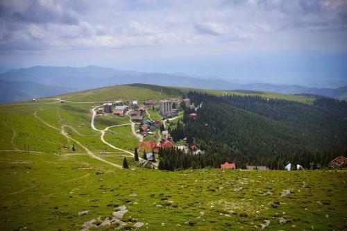Hostal Pensiunea Montana