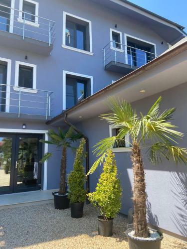 Hostal Casa Blanca Costinesti