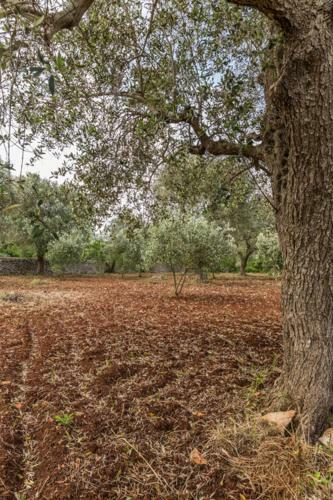 Agroturismo Villa Lupina