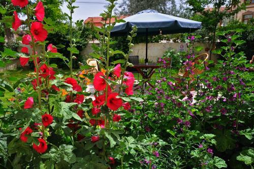 Hotel Buyuk Avanos Oteli