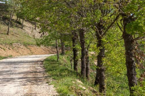 Agroturismo Casale Virginia