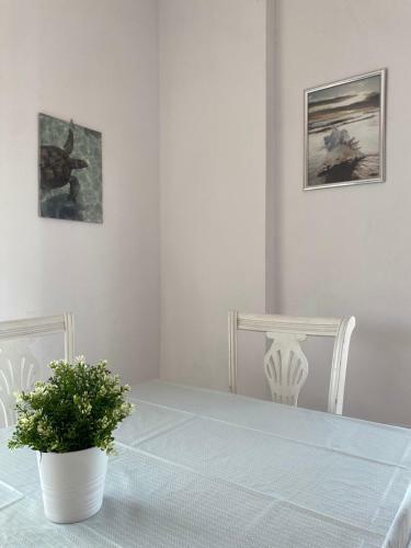 Apartamento Vacacional Playa Gand�a