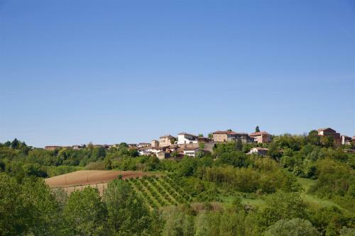 Bed & Breakfast La Mondianese