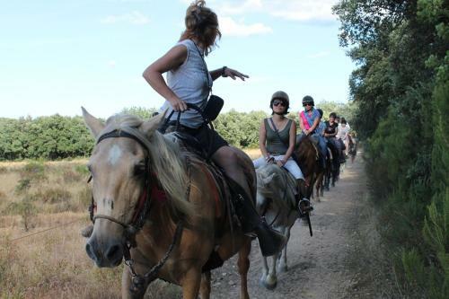 Hostal L'olivette Des Alb�res