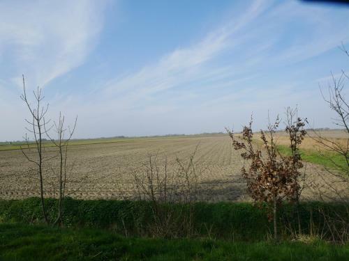 Bed & Breakfast De Veenborgh