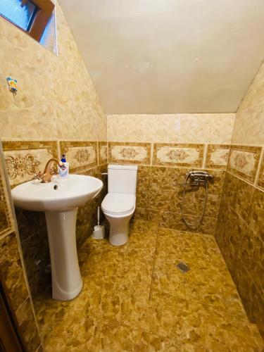 Apartamento ??????? ??????? ???????? "???????" Borjomi Guest House "giomani" ????????? ???????? "giomani"